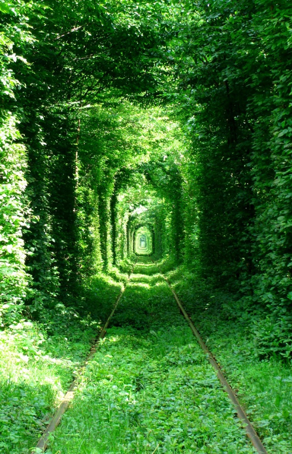 NPK калькулятор